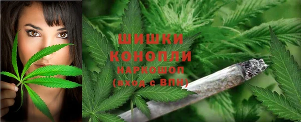 прущая мука Магас