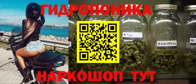 сатива Балахна