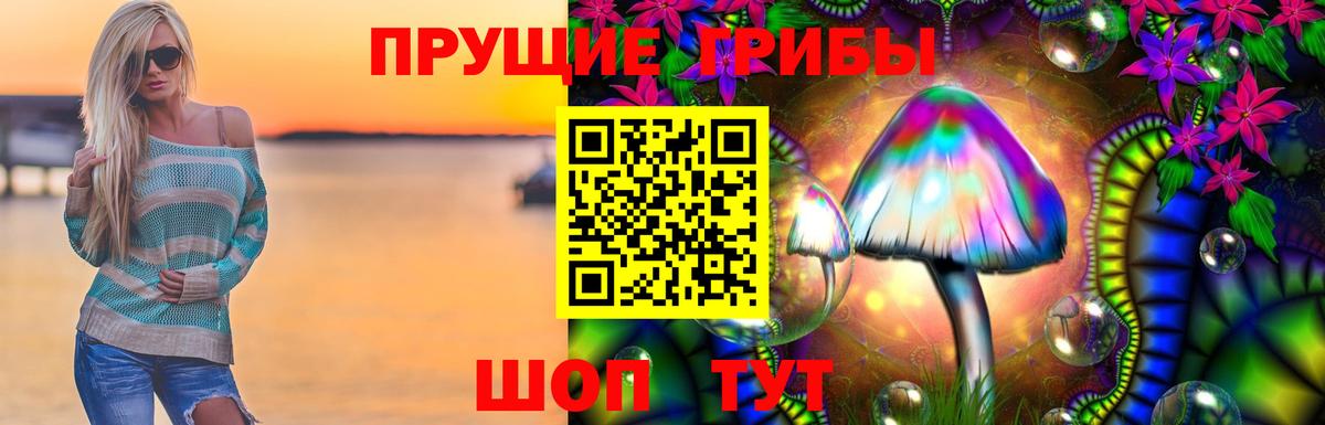 Галлюциногенные грибы Psilocybine cubensis  Брянск  Галлюциногенные грибы ЛСД 